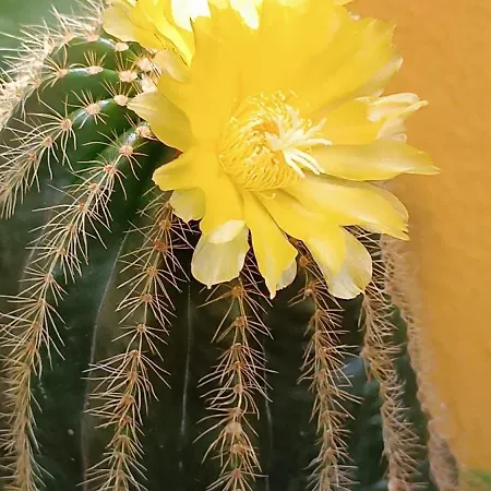 דירה Casa Di Claude Con Posto Auto