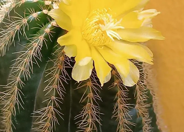 شقة Casa Di Claude Con Posto Auto