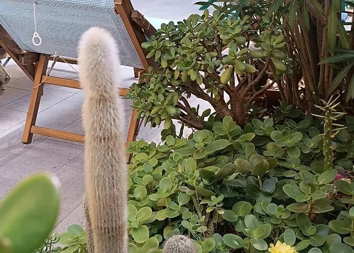 شقة Casa Di Claude Con Posto Auto